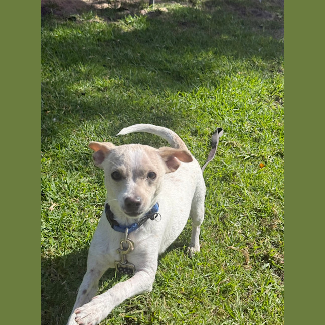 Photo of Coco
