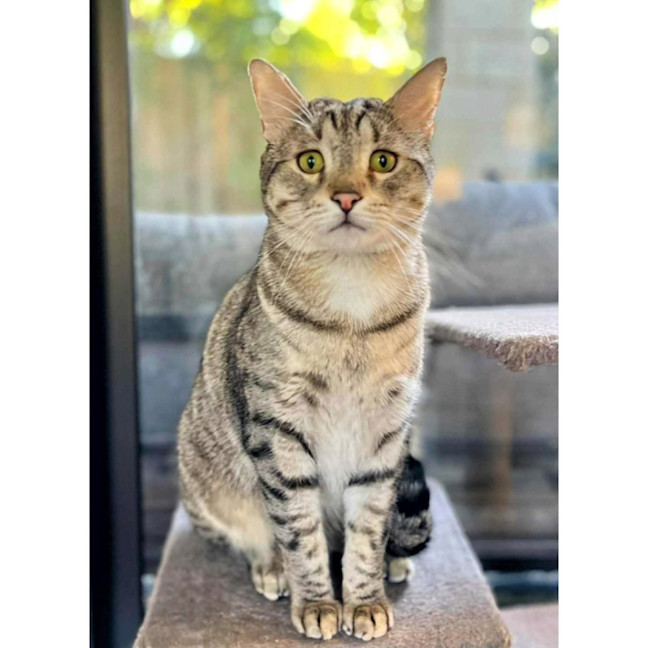 Photo of 11626   Claude