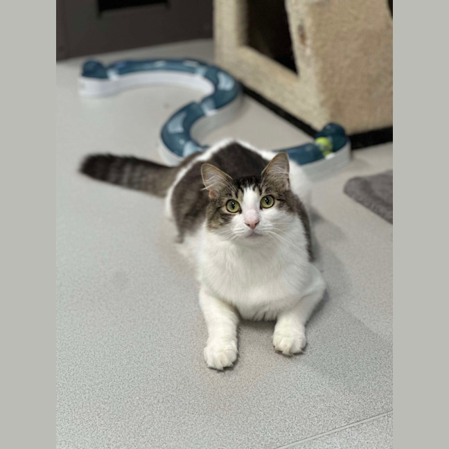 Photo of 🥥 Chester 5640 🥥