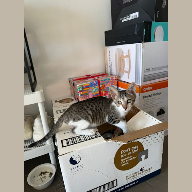Photo of Willow