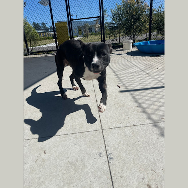 Photo of Enid Imp 1344