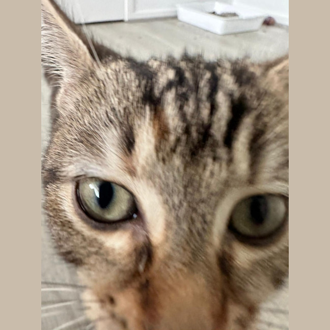 Photo of Delilah