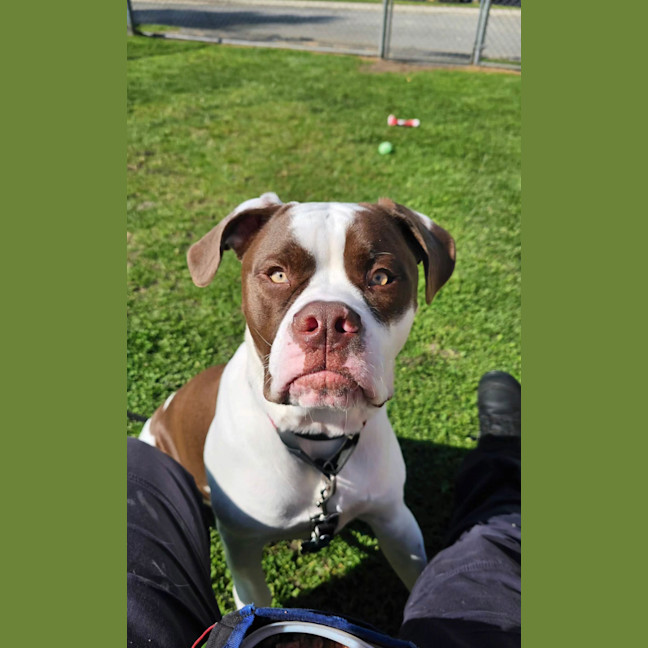 Photo of Kingston
