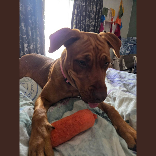 Photo of Belle