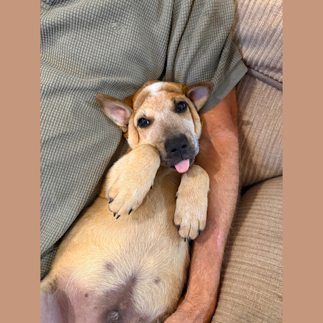 Photo of Buzz