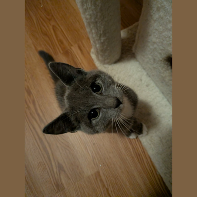 Photo of Boo