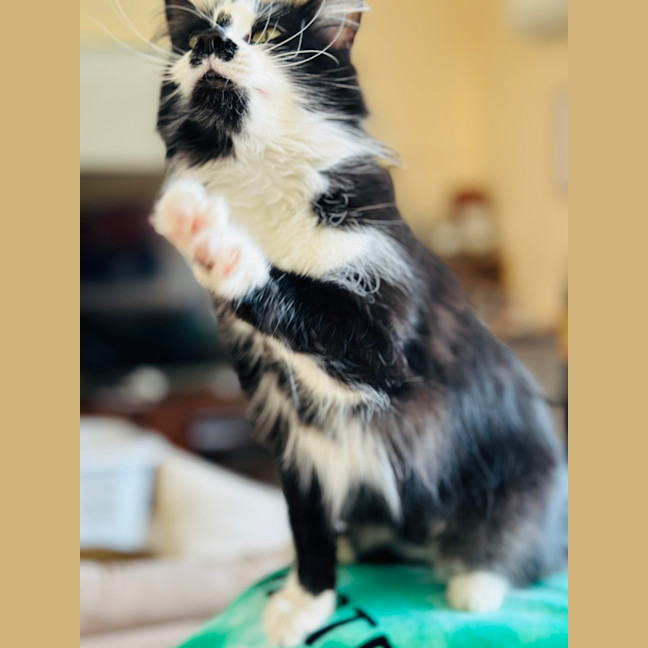 Photo of Bonnie