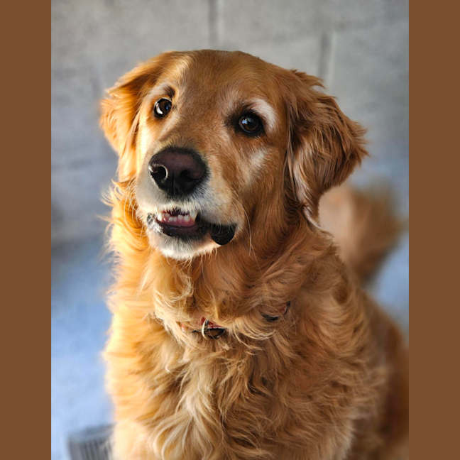 Photo of 🥇Wally 6678 🥇