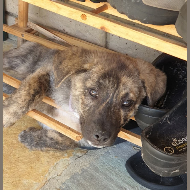 Photo of Missy Cooper