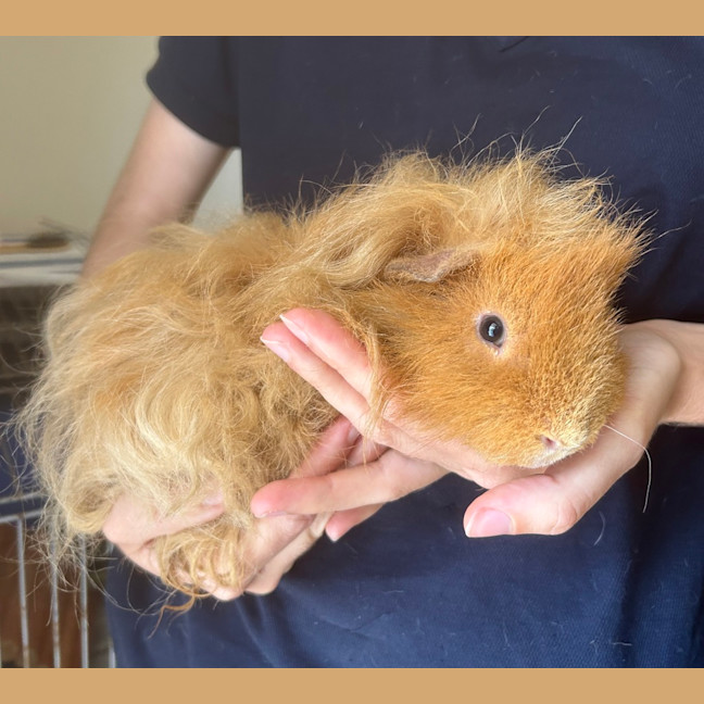 Photo of Timmy