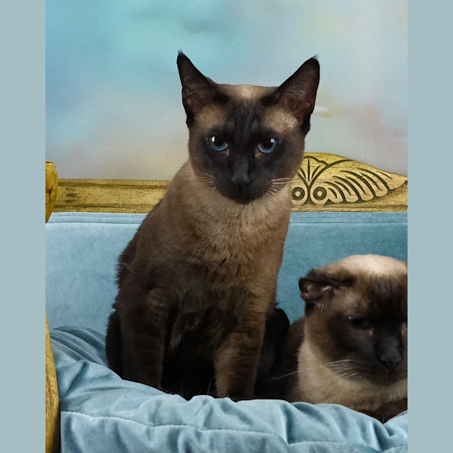 Photo of Skadi And Freya