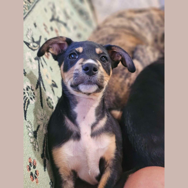 Photo of Billie