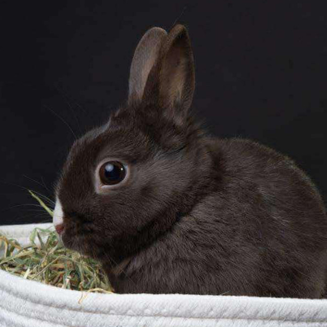 Photo of Colby