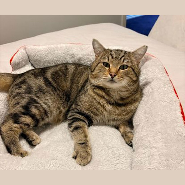 Photo of Rocket