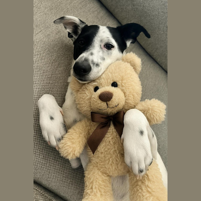 Photo of Hattie