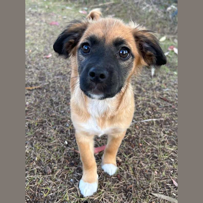 Photo of Maggie
