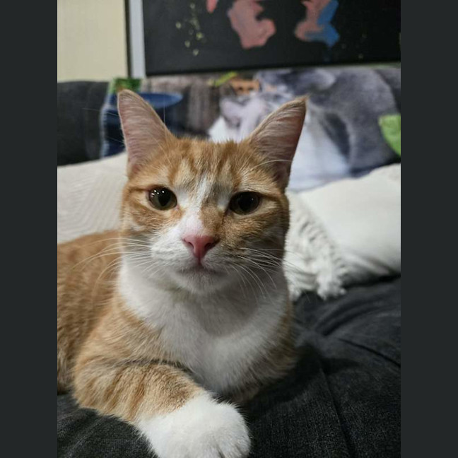 Photo of Lily