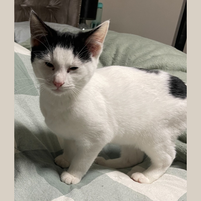 Photo of Scallywag