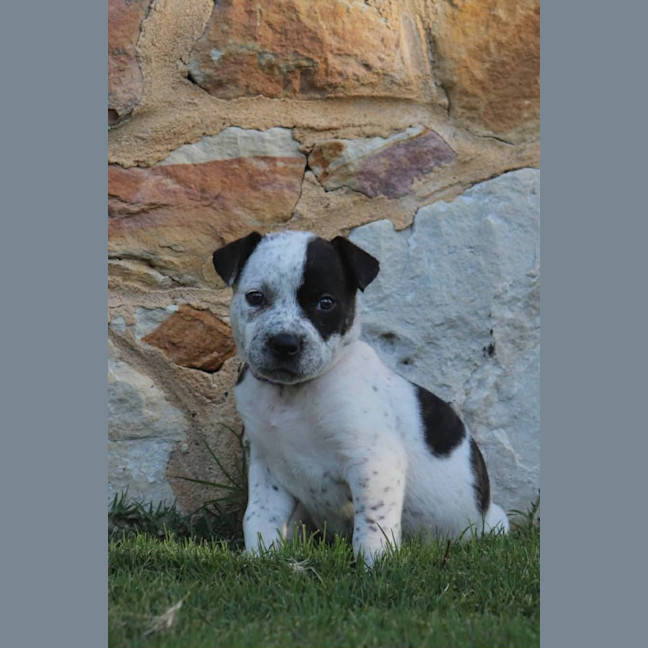 Photo of Sasha