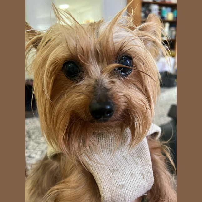 Photo of Tess