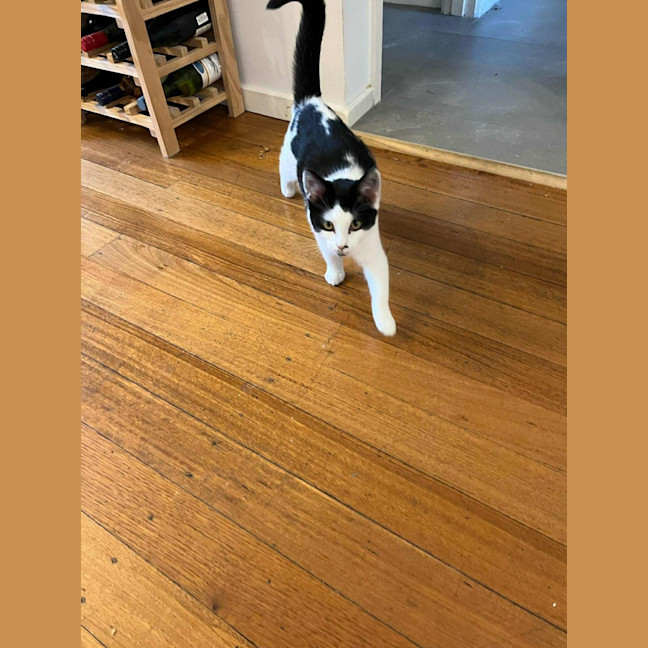 Photo of Plankton   Located In Frankston