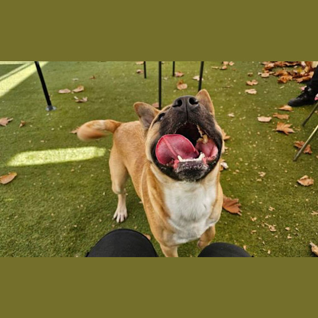 Photo of Bing Bong
