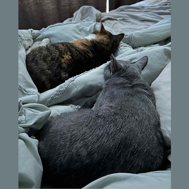 Photo of Lylanna And Mishka