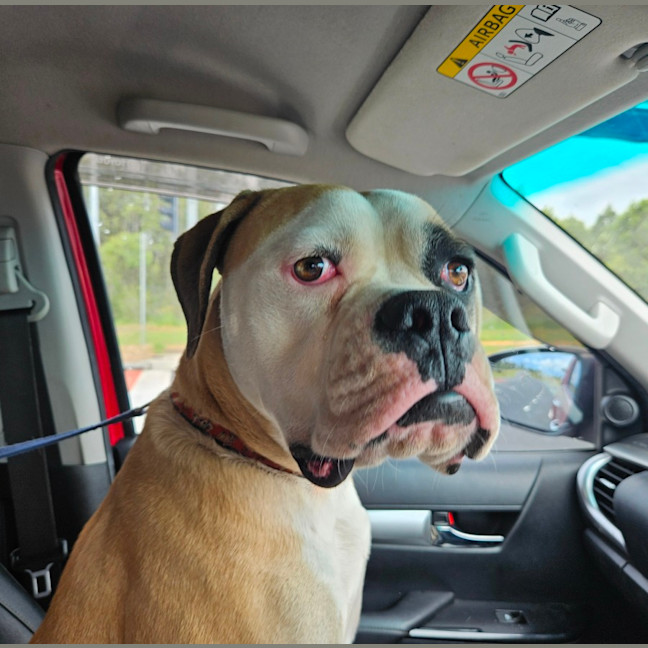 Photo of Maverick
