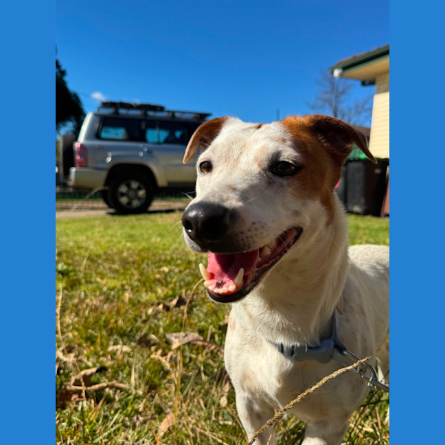 Photo of Coco