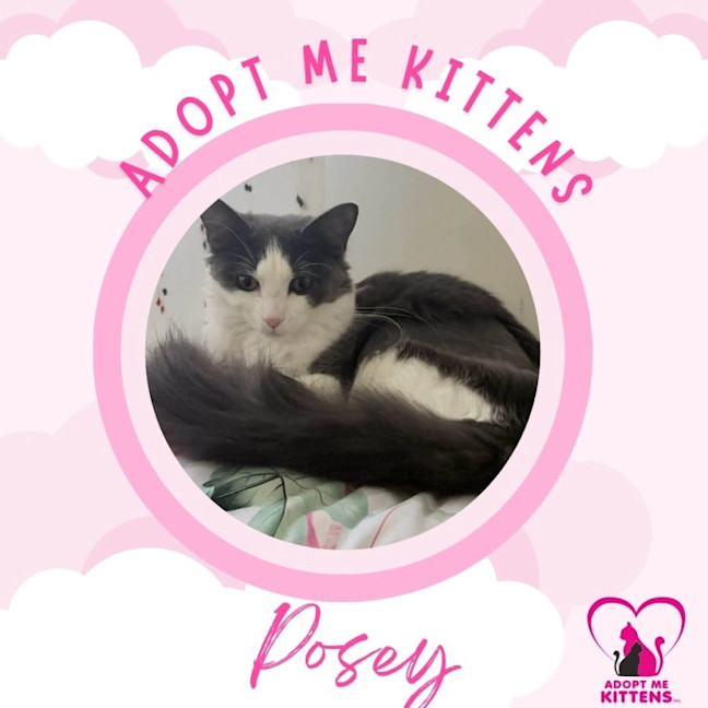 Photo of Posey