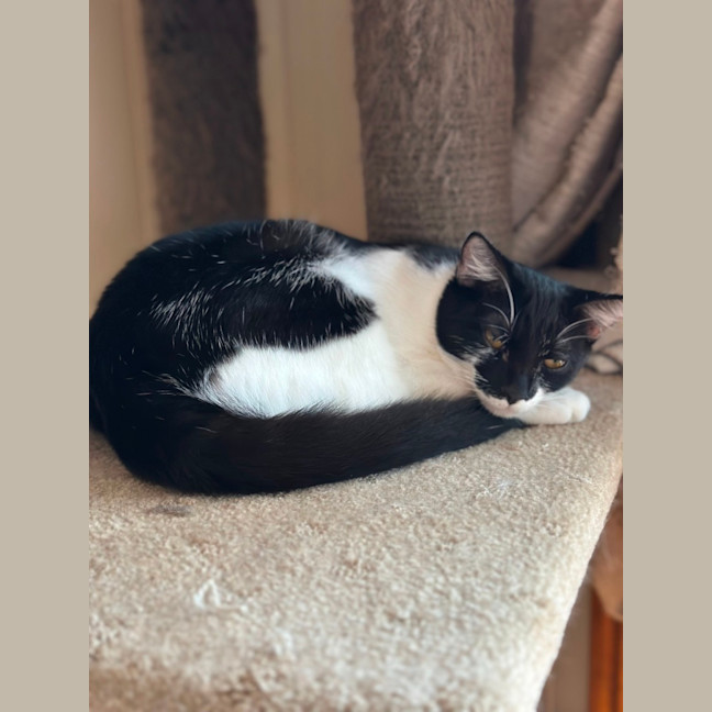 Photo of Swirl