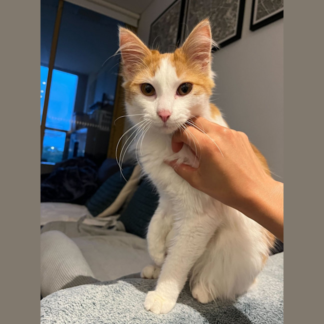 Photo of Murphy