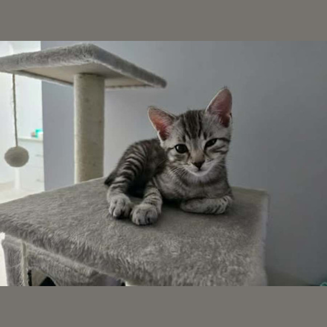 Photo of Eli