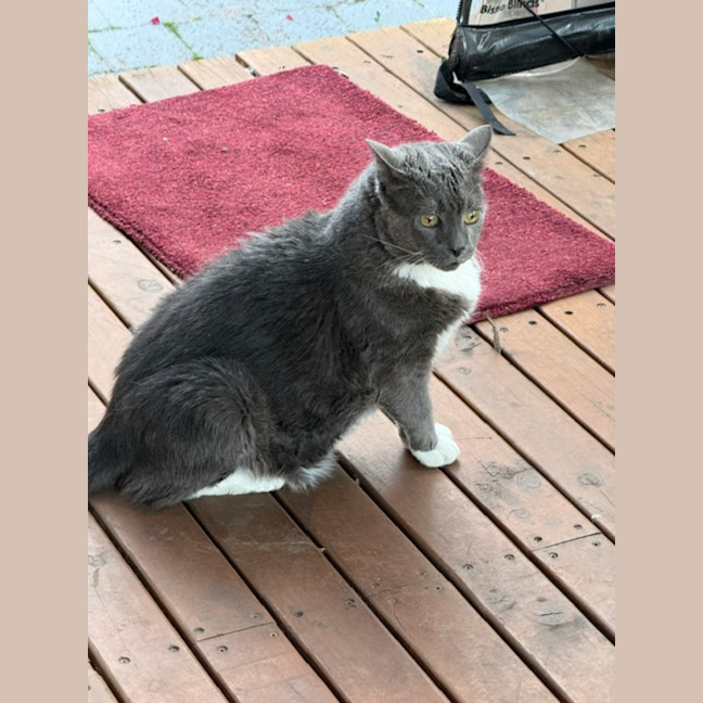 Photo of Timmy