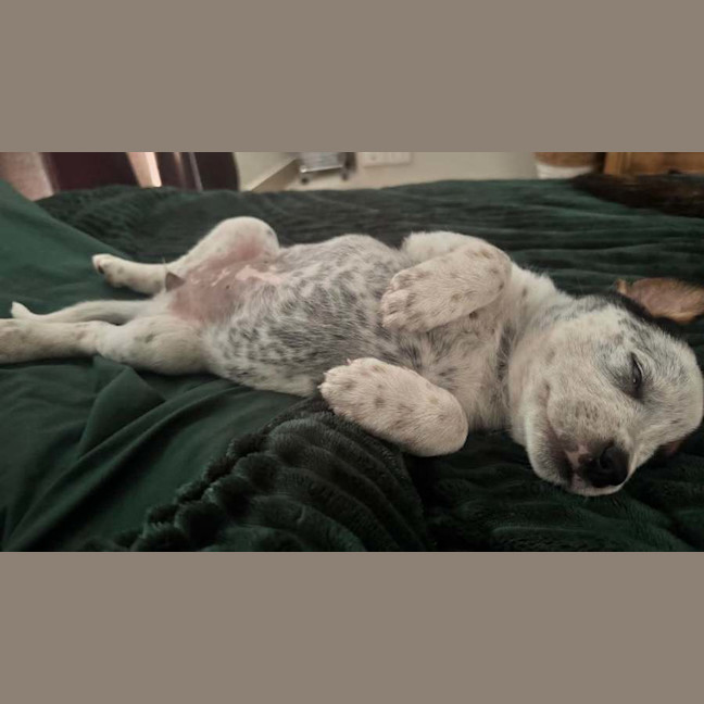 Photo of Peggy