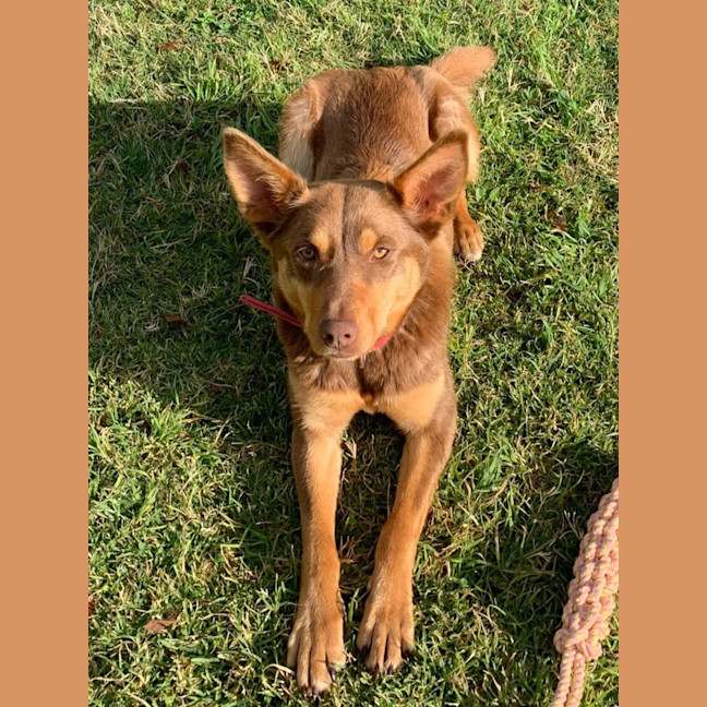 Photo of Nora
