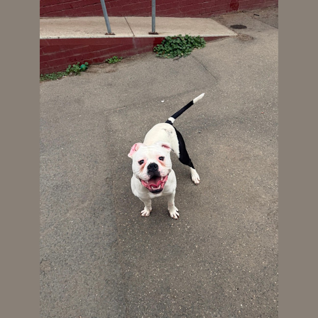Photo of Billy