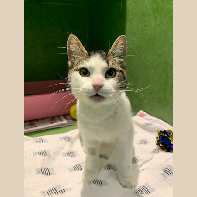 Photo of Enid