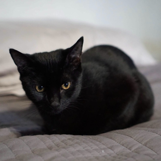 Photo of Klaus