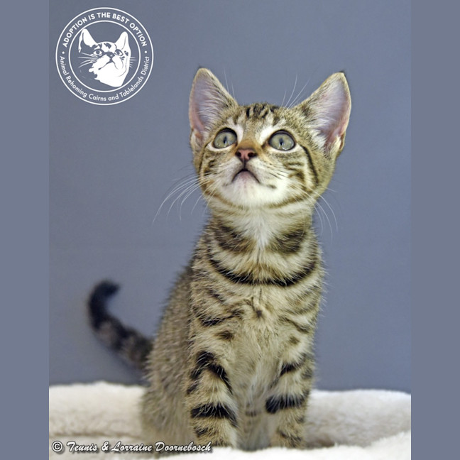 Photo of Millicent