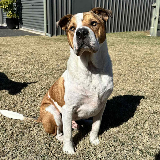 Photo of Winston