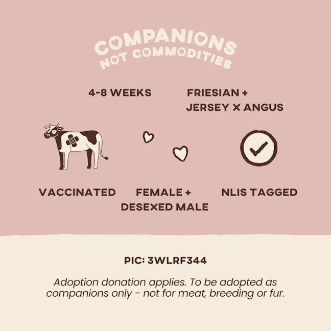 Photo of Lolly And Louis