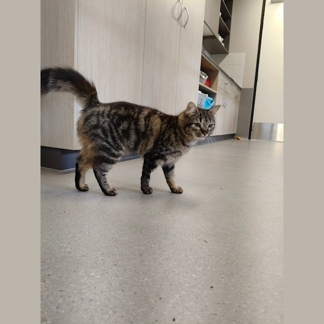 Photo of Billie Bean 