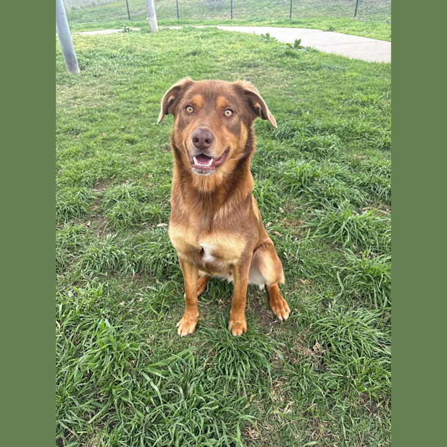 Photo of Alpha