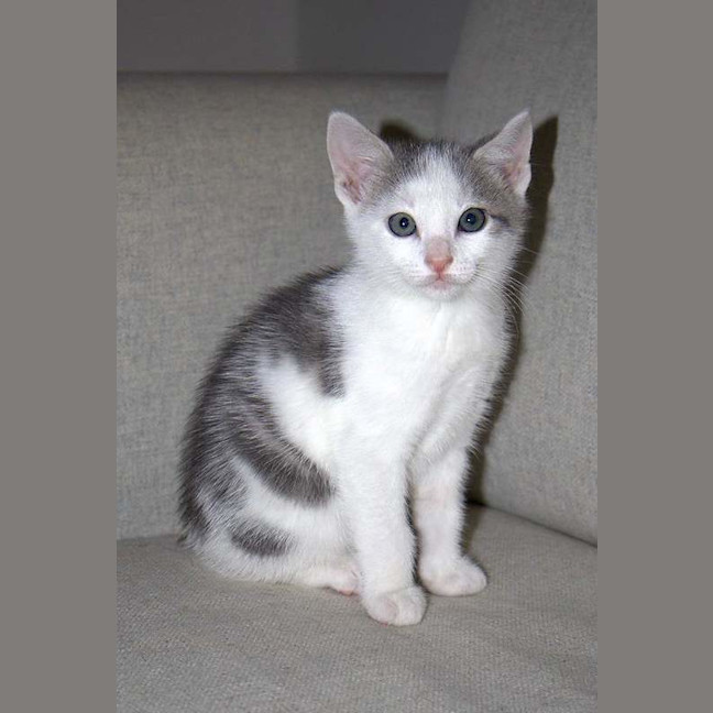 Photo of Meredith