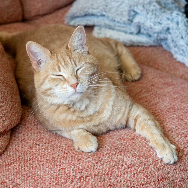 Photo of Sally & Denny