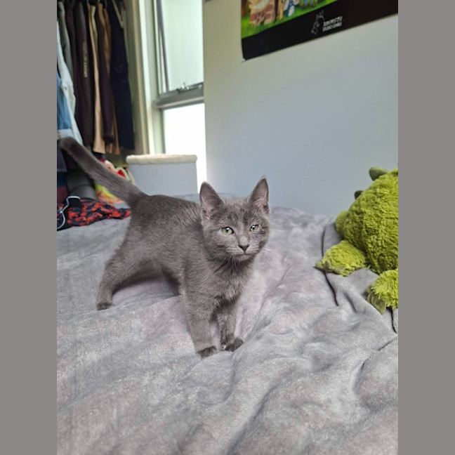 Photo of Antoinette