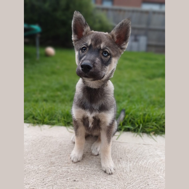 Photo of Judd Nelson