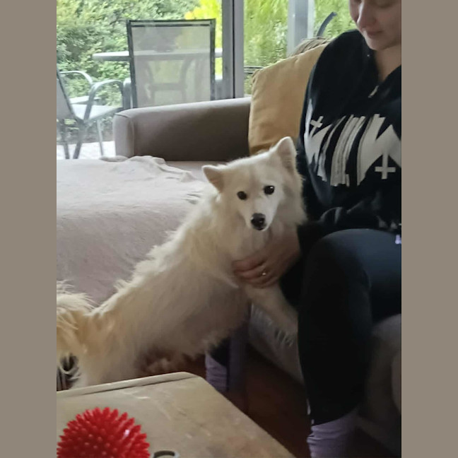 Photo of Midge