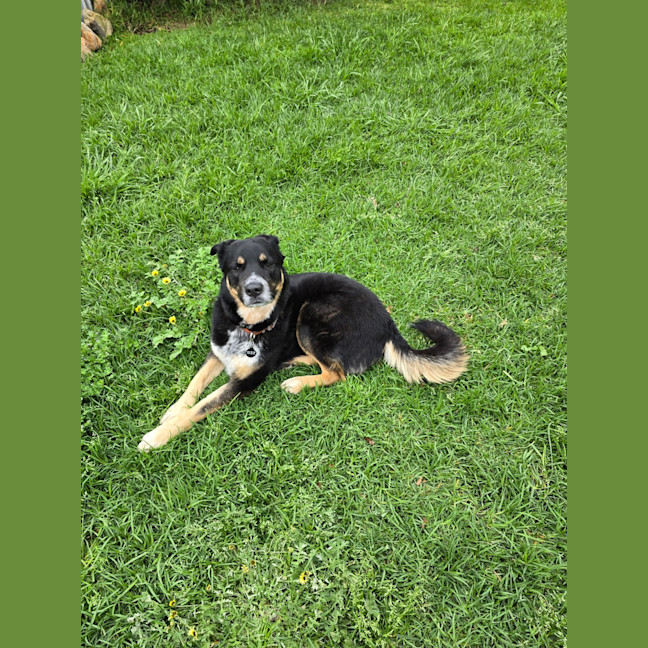Photo of Leroy Jenkins